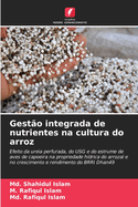 Gest?o integrada de nutrientes na cultura do arroz