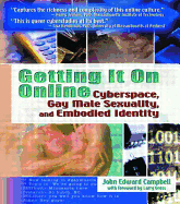 Getting It on Online: Cyberspace, Gay Male Sexuality, and Embodied Identity