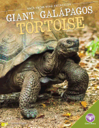 Giant Gal pagos Tortoise