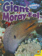 Giant Moray Eel