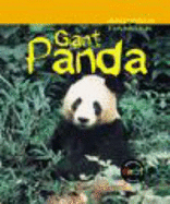 Giant Panda