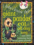 Giant Pandas Eat All Day Long