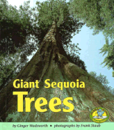 Giant Sequoia Trees