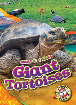 Giant Tortoises - Fleming, Dana (Narrator), and Grack, Rachel