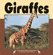 Giraffes