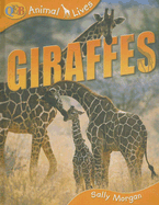 Giraffes