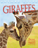 Giraffes