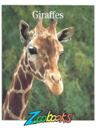 Giraffes