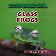 Glass Frogs
