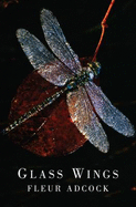 Glass Wings