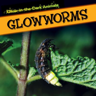 Glowworms - Rajczak Nelson, Kristen