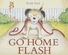 Go Home Flash