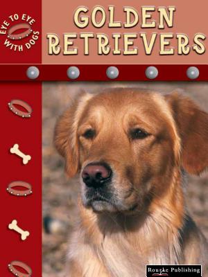 Golden Retrievers - Stone, Lynn