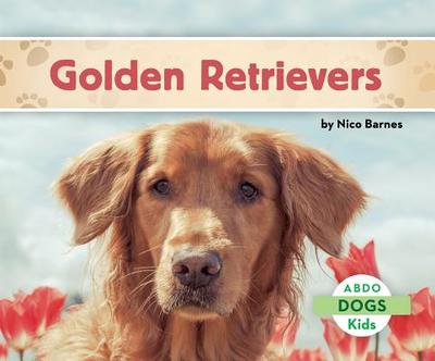 Golden Retrievers - Barnes, Nico