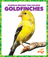 Goldfinches