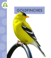 Goldfinches