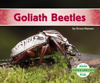 Goliath Beetles - Hansen, Grace