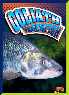 Goliath Tigerfish - Terp, Gail
