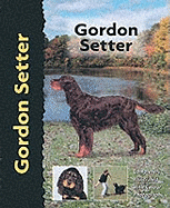 Gordon Setter