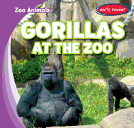 Gorillas at the Zoo