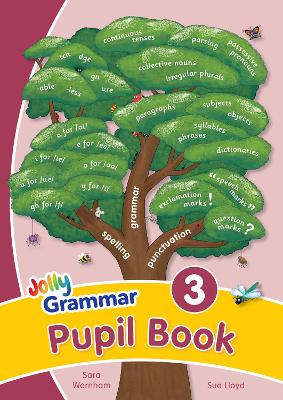 Grammar 3 Pupil Book: In Precursive Letters (British English edition) - Wernham, Sara, and Lloyd, Sue