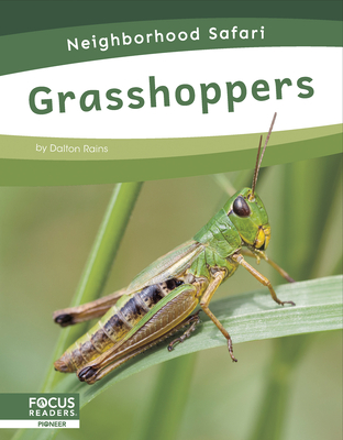 Grasshoppers - Rains, Dalton