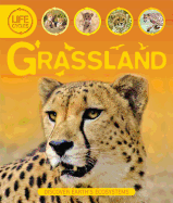 Grassland