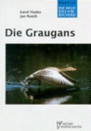 Graugans Bd. 429 - Hudec, and Rooth