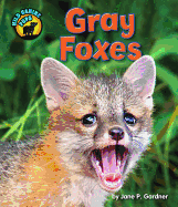 Gray Foxes