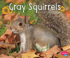 Gray Squirrels