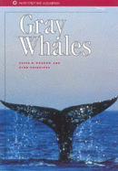 Gray Whales