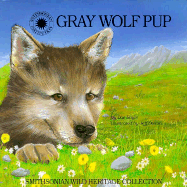 Gray Wolf Pup