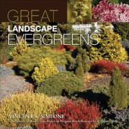 Great Landscape Evergreens