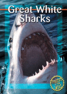 Great White Sharks