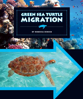 Green Sea Turtle Migration - Hirsch, Rebecca