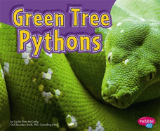 Green Tree Pythons