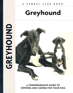 Greyhound