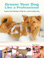Groom Your Dog Like a Professional