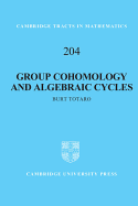 Group Cohomology and Algebraic Cycles