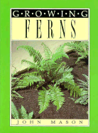Growing Ferns
