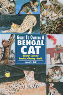Guide to Owning a Bengal Cat