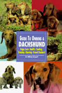Guide to Owning a Dachshund