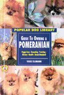 Guide to Owning a Pomeranian