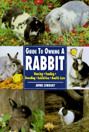 Guide to Owning a Rabbit