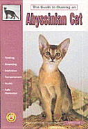 Guide to Owning an Abyssinian Cat - Track, Judah