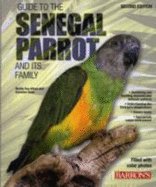 Guide to the Senegal Parrot and Its Family