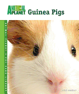 Guinea Pigs