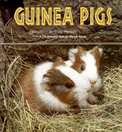 Guinea Pigs