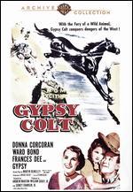 Gypsy Colt