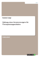 Haftung Eines Stromversorgers Fur Uberspannungsschaden